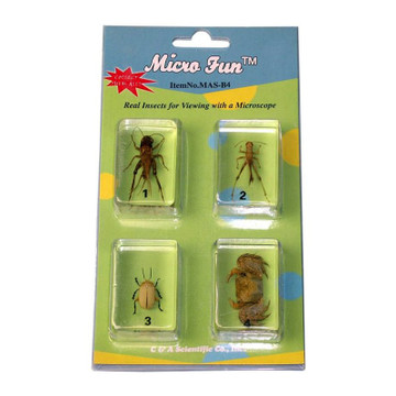 Micro Fun B4 Bug Blocks Specimens Micro Fun B4 Bug Blocks Specimens
