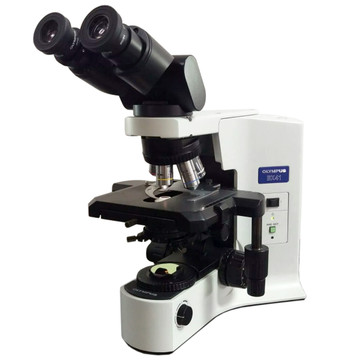 Olympus CX31 Microscope: Refurbished | NY Microscope Co.
