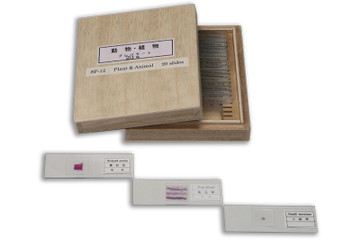 SP-12 Plant & Animal (20) Sample Slide
