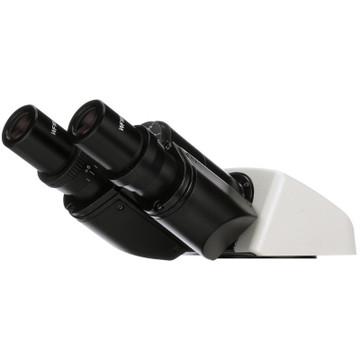 ACCU-SCOPE 120-3155 Binocular Viewing Head, Inclined 30° ACCU-SCOPE 120-3155 Binocular Viewing Head, Inclined 30°