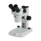 ACCU-SCOPE 3072 Binocular Stereo Microscope ACCU-SCOPE 3072 Binocular Stereo Microscope