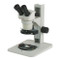 ACCU-SCOPE 3072-12-PFS Binocular Stereo Microscope on Plain Focusing Stand, 10x & 20x Magnification ACCU-SCOPE 3072-12-PFS Binocular Stereo Microscope on Plain Focusing Stand, 10x & 20x Magnification