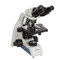 ACCU-SCOPE EXC-120-3 Binocular LED Microscope with Achromat Objectives, 400x Magnification ACCU-SCOPE EXC-120-3 Binocular LED Microscope with Achromat Objectives, 400x Magnification