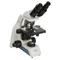 ACCU-SCOPE EXC-120-45 Binocular LED Microscope with Achromat Objectives, 1000x Magnification, 45° Viewing Angle ACCU-SCOPE EXC-120-45 Binocular LED Microscope with Achromat Objectives, 1000x Magnification, 45° Viewing Angle