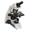 ACCU-SCOPE EXC-121-3 Monocular LED Microscope with Achromat Objectives, 400x Magnification ACCU-SCOPE EXC-121-3 Monocular LED Microscope with Achromat Objectives, 400x Magnification