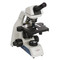 ACCU-SCOPE EXC-121-PL Monocular LED Microscope with Plan Objectives, 1000x Magnification