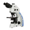 ACCU-SCOPE EXC-350-470 Trinocular Microscope with Integrated LED Fluorescence for FITC/GFP ACCU-SCOPE EXC-350-470 Trinocular Microscope with Integrated LED Fluorescence for FITC/GFP