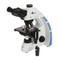 ACCU-SCOPE EXC-350-PH Trinocular Phase Microscope, Turret Phase System