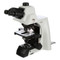 ACCU-SCOPE EXC-500-TE Clinical Microscope - Ergonomic Trinocular, NIS Infinity Plan Objectives ACCU-SCOPE EXC-500-TE Clinical Microscope - Ergonomic Trinocular, NIS Infinity Plan Objectives