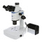 UNITRON 11201-TE Z12 Zoom Stereo Microscope on Diascopic Stand with Tiltable Mirror LED Illumination - Ergonomic Trinocular, 8x. to 100x Magnification UNITRON 11201-TE Z12 Zoom Stereo Microscope on Diascopic Stand with Tiltable Mirror LED Illumination - Ergonomic Trinocular, 8x. to 100x Magnification