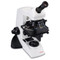 Labomed 9135005 CxL Monocular Cordless Microscope, 4x, 10x, 40x, 100x Objectives, LED Illumination Labomed 9135005 CxL Monocular Cordless Microscope, 4x, 10x, 40x, 100x Objectives, LED Illumination