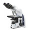 iScope binocular microscope with EWF 10x/22mm eyepieces, Plan PLI 4/10/S40/S100x oil IOS objectives, rackless stage and 3W NeoLED™ Köhler illumination
