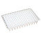 0.2mL 96-Well PCR Plate, No Skirt, Flat Top, Clear