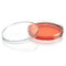 Diamond SureGro Cell Culture Dish, Tissue Culture Treated, 60 x 15mm with Gripping Ring, Sterile, 10/Bag, 500/Case