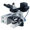 Labomed Lx400 Trinocular LED Fluorescence Microscope Labomed Lx400 Trinocular LED Fluorescence Microscope