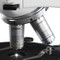 Labomed 9152020 20x Strain Free Infinity Plan Achromatic Objective Labomed 9152020 20x Strain Free Infinity Plan Achromatic Objective