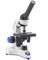 OPTIKA B-20CR - B-20 Monocular brightfield microscope, 400x, rechargeable batteries (not included)