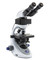 OPTIKA B-292LD1.50 - B-290 Binocular LED fluorescence microscope, 500x, IOS PLAN, B filter set