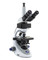 OPTIKA B-293LD1 - B-290 Trinocular LED fluorescence microscope, 1000x, IOS PLAN, B filter set