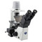 OPTIKA IM-300LD2 - IM-300 Inverted LED fluorescence/phase contrast microscope, 400x, IOS LWD PLAN, B&G filter set