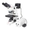Motic BA310MET - Binocular