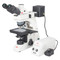 Motic BA310MET-T - BA310MET-T Trinocular (Stroke 3"x2" Stage) (Erect Image)