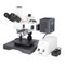 Motic BA310MET-H - BA310MET-H Trinocular