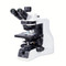 Motic PA53 BIO - PA53 BIO (Basic Configuration)