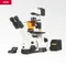 Motic PX43 FS6