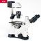 Motic PX43 BIO