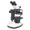 Motic GM-171 - Binocular