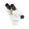Motic SMZ-160 BH Head (Binocular Head)