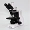 Motic PA43 BIOMED Routine Lab Upright Microscope - PA43 BIO PH (High-end Config) - Package 4