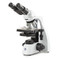Euromex bScope Phase Contrast Microscope - E-Plan Phase IOS Objectives - Binocular Euromex bScope Phase Contrast Microscope - E-Plan Phase IOS Objectives - Binocular