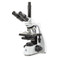 Euromex BS.1153-EPLPHi, bScope Phase Contrast Microscope - E-Plan Phase IOS Objectives - Trinocular