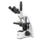 Euromex BS.1153-EPL, bScope Brightfield Microscope - E-Plan Objectives - Trinocular