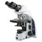 Euromex IS.1158-EPLi, iScope Brightfield Microscope - E-Plan IOS Objectives, Ergonomic Tilting Head