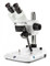 Euromex SB.1402-P Binocular stereo microscope StereoBlue, 2x/4x revolving objective, 20x/40x magnification with ergonomically pillar stand with incident and transmitted LED illumination