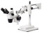 Euromex NZ.1903-B Trinocular stereo zoom microscope NexiusZoom, 0.67x to 4.5x zoom objective, magnification from 6.7x to 45x with double-arm boom stand. Without illumination