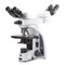Euromex iScope Face-to-Face Microscope - E-Plan IOS Objectives, Dual Binocular