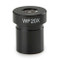 Euromex AE.5582 Wide field eyepiece WF20x/11.5 mm