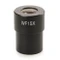 Euromex BS.6315 WF 15x/12 mm eyepiece for bScope Materials Sciences, and fluorescence models with Ø 30 mm tubes