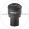 Euromex IS.6010-CM EWF 10x/20 mm eyepiece (Ø23.2mm) for iScope with 10/100 micrometer and cross hair