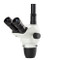 Euromex NZ.5303 NexiusZoom trinocular head 0.67-4.5x without head holder