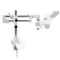 Euromex NZ.9032 Universal two-arm stand with table clamp without NexiusZoom holder