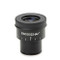 Euromex DZ.3012 Eyepiece EWF 10x/22 mm with crosshair with 10/100 micrometer scale for DZ-series head (1pc)