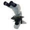Leica DMLS Ergo Tilting Binocular Microscope, Three Objectives, Halogen Illumination - Reconditioned Leica DMLS Ergo Tilting Binocular Microscope, Three Objectives, Halogen Illumination - Reconditioned