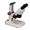 Meiji EM-30 Dissecting Microscope Meiji EM-30 Dissecting Microscope