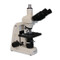 Meiji MT5300HD Halogen Trinocular Dermatology Mohs Microscope Meiji MT5300HD Halogen Trinocular Dermatology Mohs Microscope
