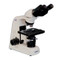 Meiji MT4200L Binocular Biological Microscope with LED Illumination Meiji MT4200L Binocular Biological Microscope with LED Illumination
